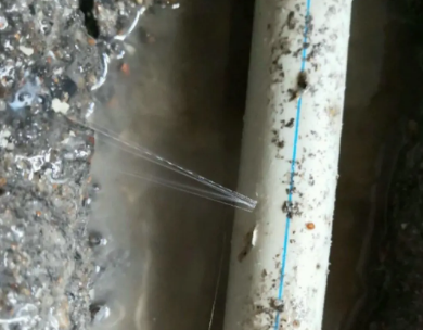 扶绥测漏水哪家好