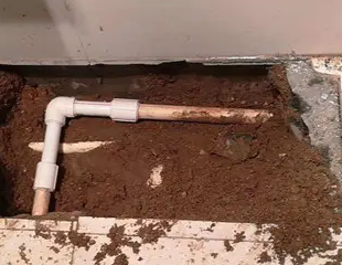 扶绥测漏水哪家好