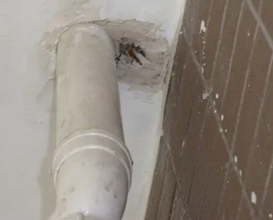 扶绥漏水检测哪家好